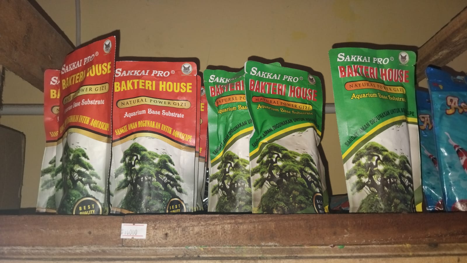 Bakteri House